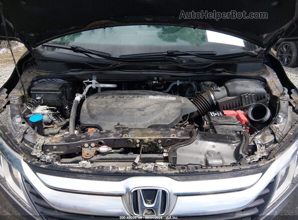 5FNRL6H22KB010976 2019 HONDA ODYSSEY Серый Вид сзади
