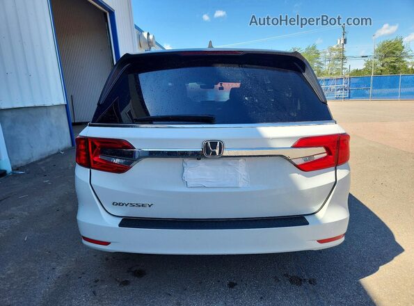5FNRL6H46LB503952 2020 HONDA ODYSSEY White Rear view