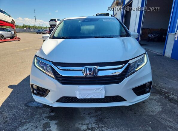 5FNRL6H46LB503952 2020 HONDA ODYSSEY White Front view