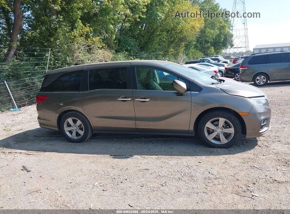 5FNRL6H51JB020908 2018 HONDA ODYSSEY Gray Вид задньої частини салону