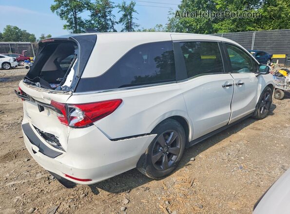 5FNRL6H58MB032932 2021 HONDA ODYSSEY White Rear right