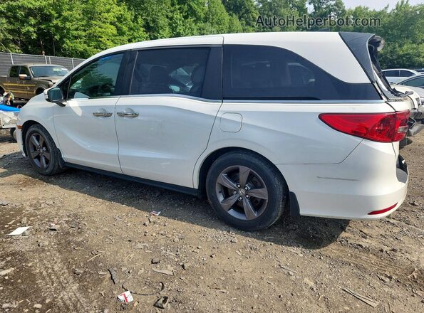 5FNRL6H58MB032932 2021 HONDA ODYSSEY White Rear left
