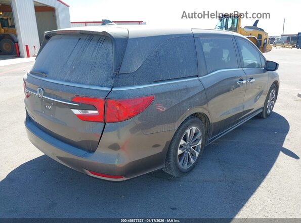 5FNRL6H60PB019007 2023 HONDA ODYSSEY Gray Հետևի աջ