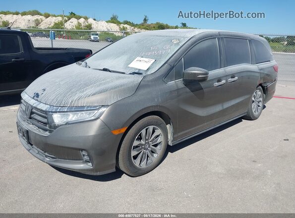 5FNRL6H60PB019007 2023 HONDA ODYSSEY Gray Առջևի ձախ երեք քառորդ տեսարան