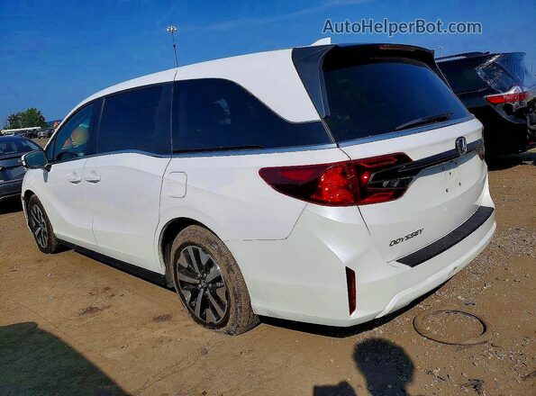 5FNRL6H61SB063333 2025 HONDA ODYSSEY White Tył prawy