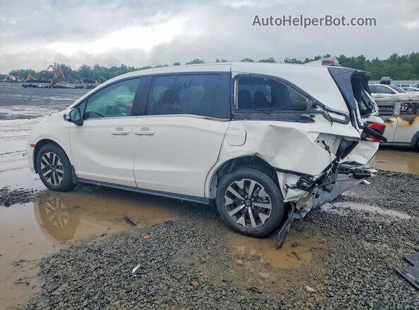 5FNRL6H61TB061289 2026 HONDA ODYSSEY White Rear left