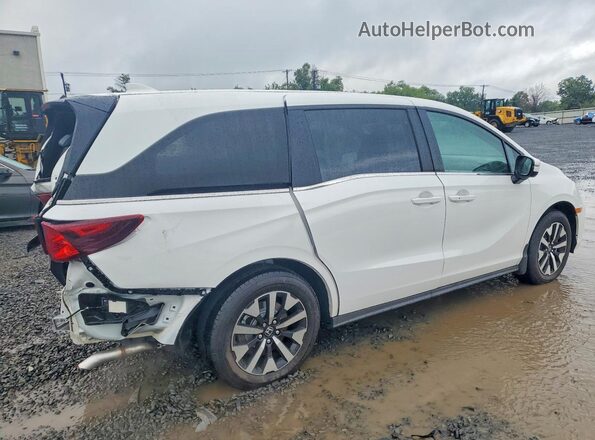 5FNRL6H61TB061289 2026 HONDA ODYSSEY White Rear right