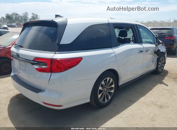5FNRL6H62PB056673 2023 HONDA ODYSSEY White უკანა მარჯვენა