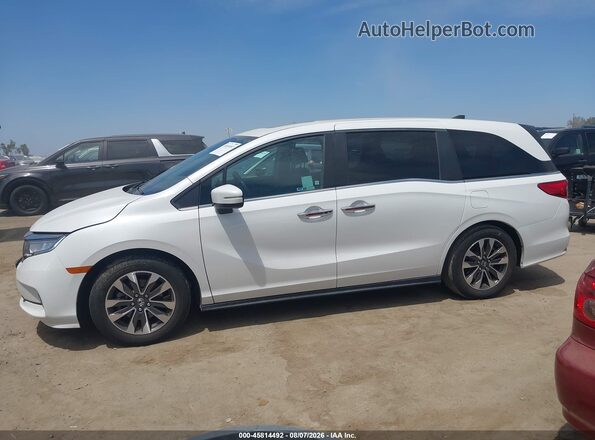 5FNRL6H62PB056673 2023 HONDA ODYSSEY White სალონის 360-გრადუსიანი ხედი