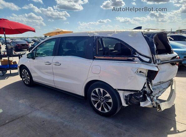5FNRL6H62RB005838 2024 HONDA ODYSSEY White Rear left