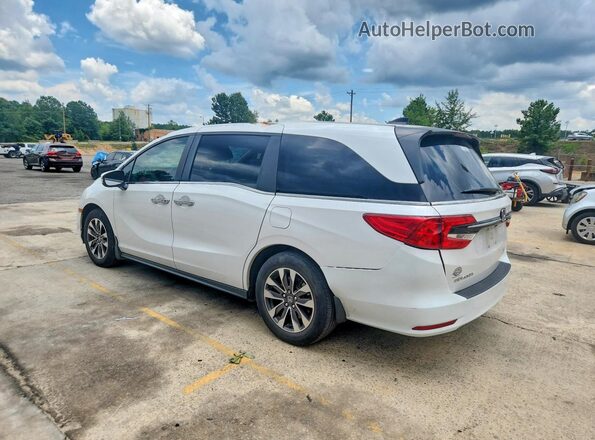 5FNRL6H62RB010893 2024 HONDA ODYSSEY White Trasero izquierdo