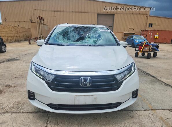 5FNRL6H62RB010893 2024 HONDA ODYSSEY White Vista frontal