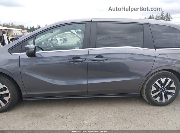 5FNRL6H62SB073983 2025 HONDA ODYSSEY Gray 