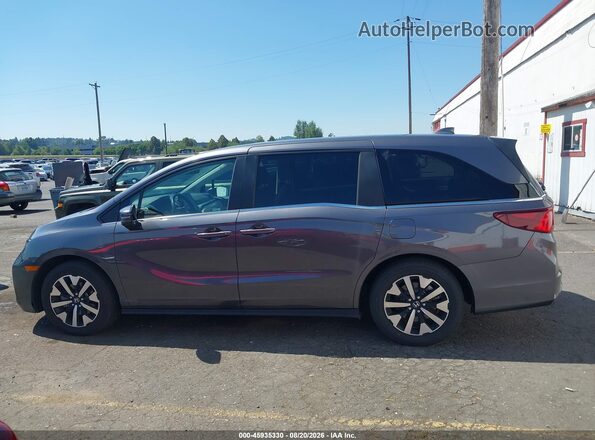 5FNRL6H63SB082014 2025 HONDA ODYSSEY Gray 360 interior view
