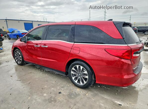 5FNRL6H64PB026266 2023 HONDA ODYSSEY Red Задня ліва чверть