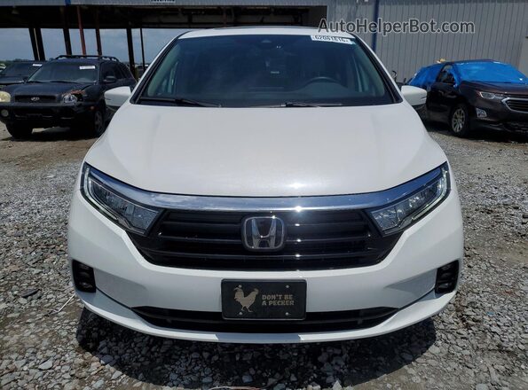 5FNRL6H64RB039179 2024 HONDA ODYSSEY White Widok z przodu