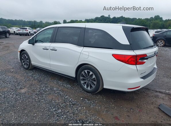 5FNRL6H64RB045516 2024 HONDA ODYSSEY White Задня ліва чверть