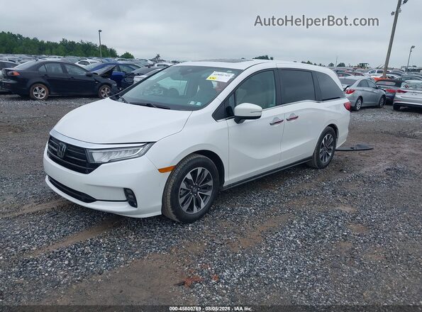 5FNRL6H64RB045516 2024 HONDA ODYSSEY White Передня ліва чверть