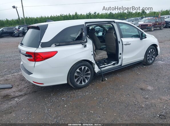 5FNRL6H64RB045516 2024 HONDA ODYSSEY White Задня права чверть