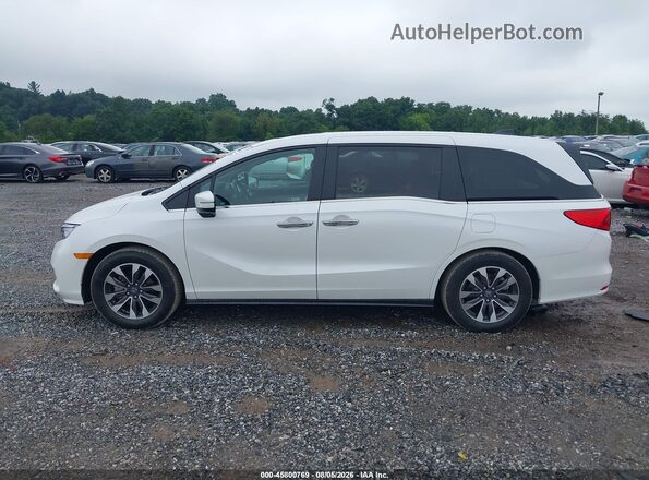 5FNRL6H64RB045516 2024 HONDA ODYSSEY White Панорамний вид салону 360°