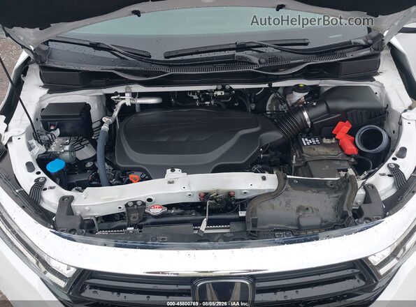 5FNRL6H64RB045516 2024 HONDA ODYSSEY White Вид ззаду