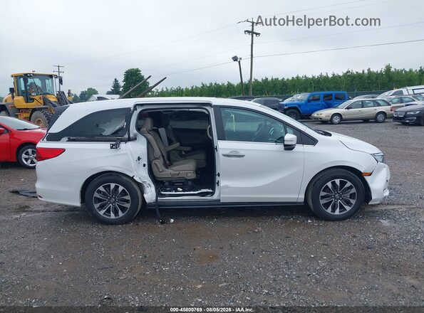 5FNRL6H64RB045516 2024 HONDA ODYSSEY White Вид задньої частини салону
