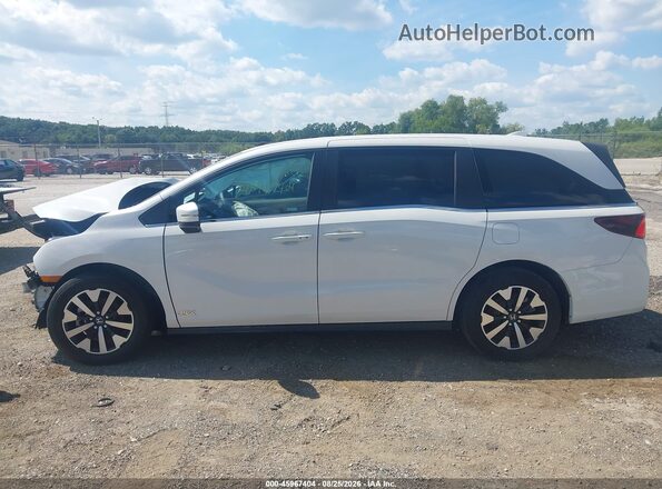 5FNRL6H64SB073340 2025 HONDA ODYSSEY White Widok wnętrza 360 stopni
