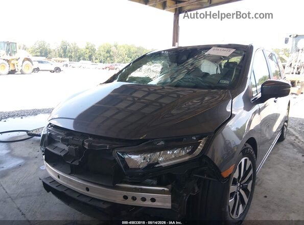 5FNRL6H64SB075122 2025 HONDA ODYSSEY Gray 