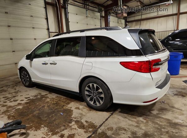 5FNRL6H65RB038736 2024 HONDA ODYSSEY White Задня ліва чверть