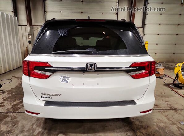 5FNRL6H65RB038736 2024 HONDA ODYSSEY White Вид ззаду