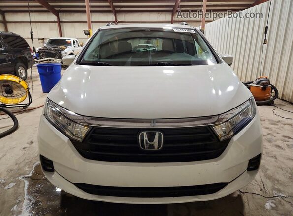 5FNRL6H65RB038736 2024 HONDA ODYSSEY White Вид спереду