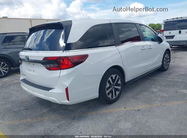 5FNRL6H65SB066302 2025 HONDA ODYSSEY White Trasero derecho