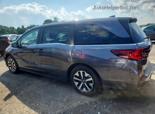 5FNRL6H65SB075730 2025 HONDA ODYSSEY Gray Tył lewy