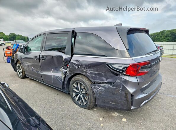 5FNRL6H65SB081401 2025 HONDA ODYSSEY Gray Задня права чверть