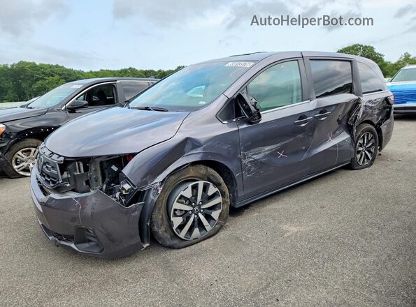 5FNRL6H65SB081401 2025 HONDA ODYSSEY Gray Задня ліва чверть