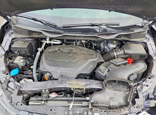 5FNRL6H65SB081401 2025 HONDA ODYSSEY Gray Вид наклейки з VIN-кодом