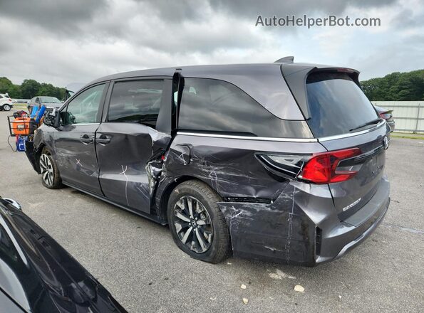 5FNRL6H65SB081401 2025 HONDA ODYSSEY Gray 