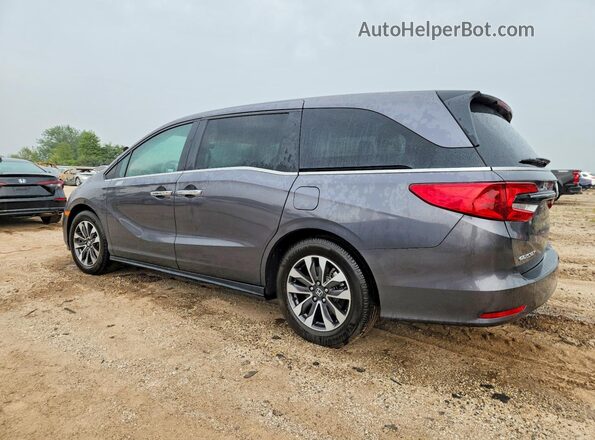 5FNRL6H67PB016038 2023 HONDA ODYSSEY Gray Tył lewy