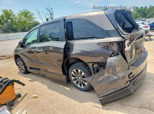 5FNRL6H67PB016993 2023 HONDA ODYSSEY Brown Задня ліва чверть