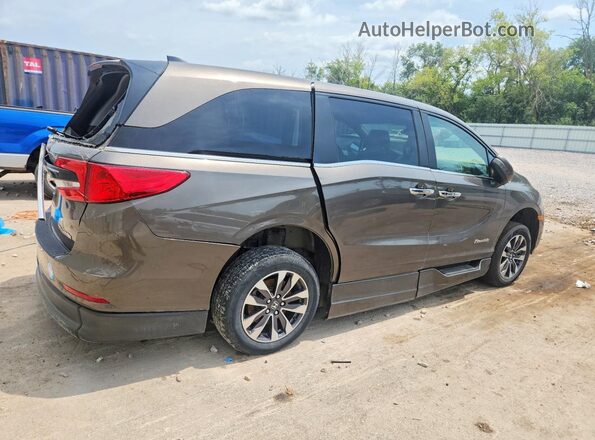 5FNRL6H67PB016993 2023 HONDA ODYSSEY Brown Задня права чверть