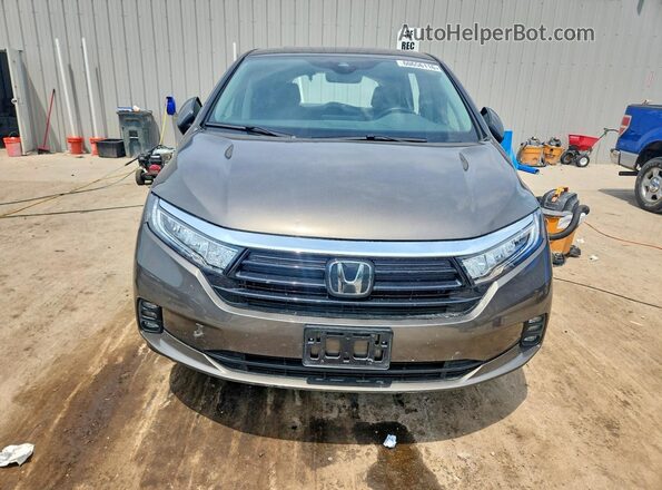5FNRL6H67PB016993 2023 HONDA ODYSSEY Brown Вид спереду