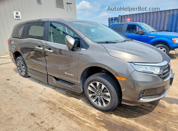 5FNRL6H67PB016993 2023 HONDA ODYSSEY Brown Передня права чверть