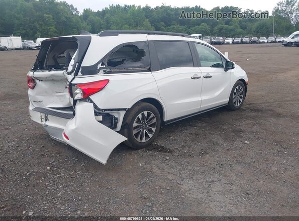 5FNRL6H67RB020724 2024 HONDA ODYSSEY White უკანა მარჯვენა