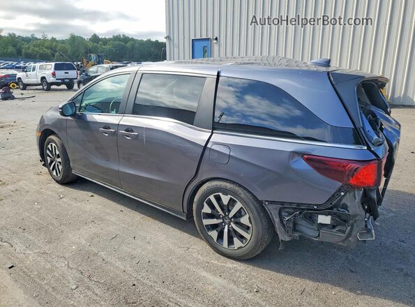 5FNRL6H68SB082798 2025 HONDA ODYSSEY Gray Задня ліва чверть