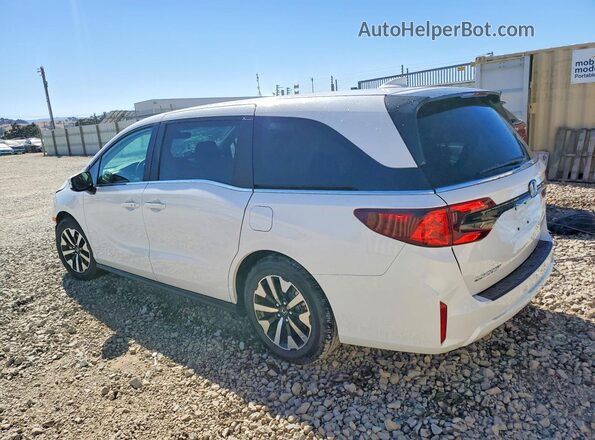 5FNRL6H68TB041749 2026 HONDA ODYSSEY White Задня ліва чверть