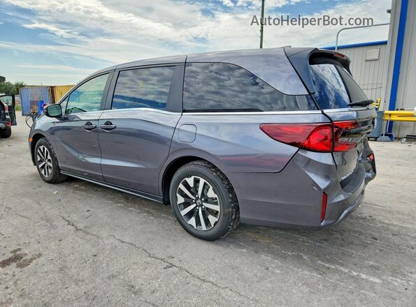5FNRL6H69TB059158 2026 HONDA ODYSSEY Gray Rear left