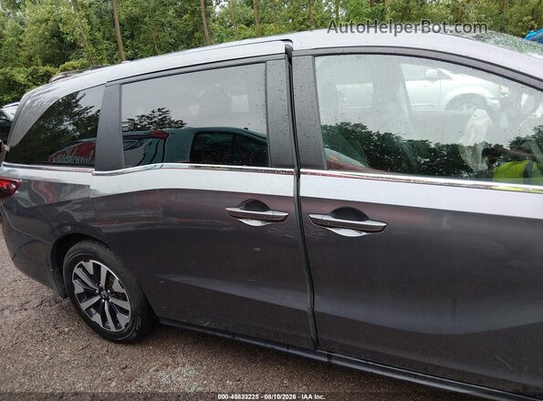 5FNRL6H6XSB067199 2025 HONDA ODYSSEY Gray Սալոնի հետևի տեսք