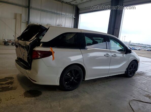 5FNRL6H70RB022727 2024 HONDA ODYSSEY White უკანა მარჯვენა