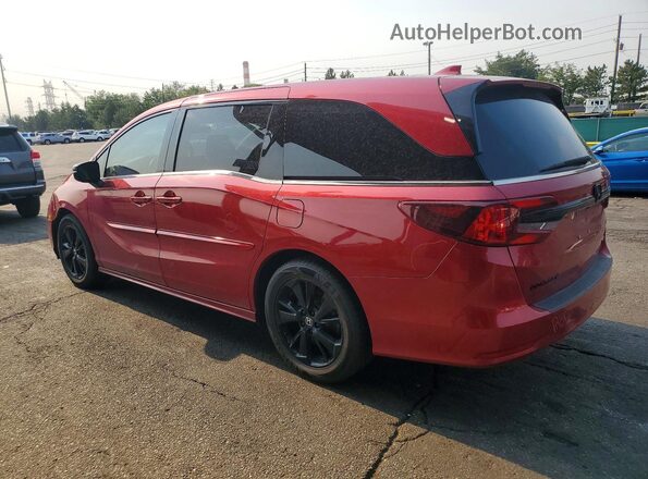 5FNRL6H71RB002213 2024 HONDA ODYSSEY Темно-бордовый Задняя левая четверть