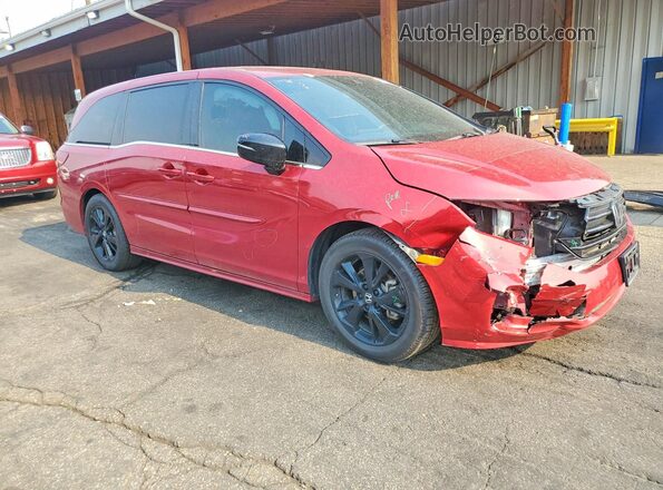 5FNRL6H71RB002213 2024 HONDA ODYSSEY Темно-бордовый Передняя правая четверть
